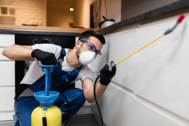 Best Affordable Pest Control Services  in Adrian, MO