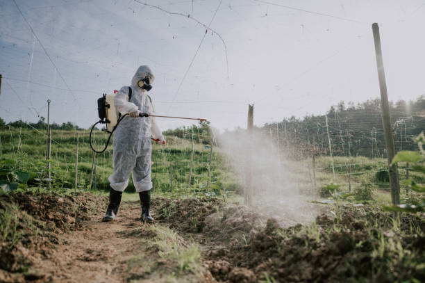 Best Mosquito Control Services  in Adrian, MO