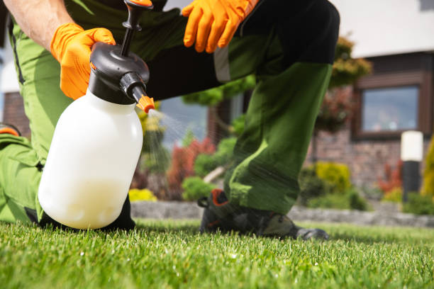 Best Best Pest Control Companies  in Adrian, MO
