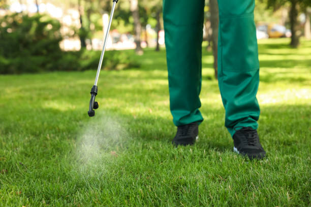 Reliable Adrian, MO Pest Control Solutions