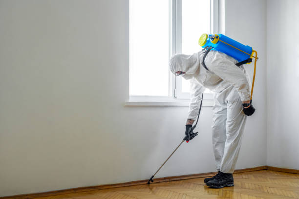 Best Bed Bug Extermination  in Adrian, MO