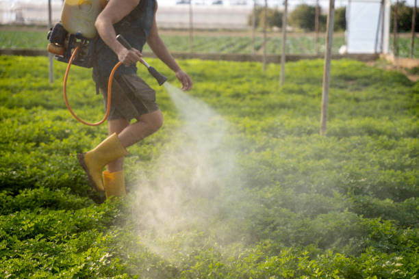 Best Mosquito Control Services  in Adrian, MO