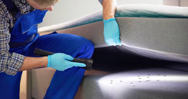 Best Commercial Pest Control Services  in Adrian, MO