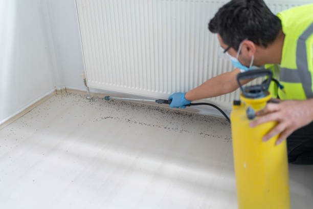 Best Affordable Pest Control Services  in Adrian, MO